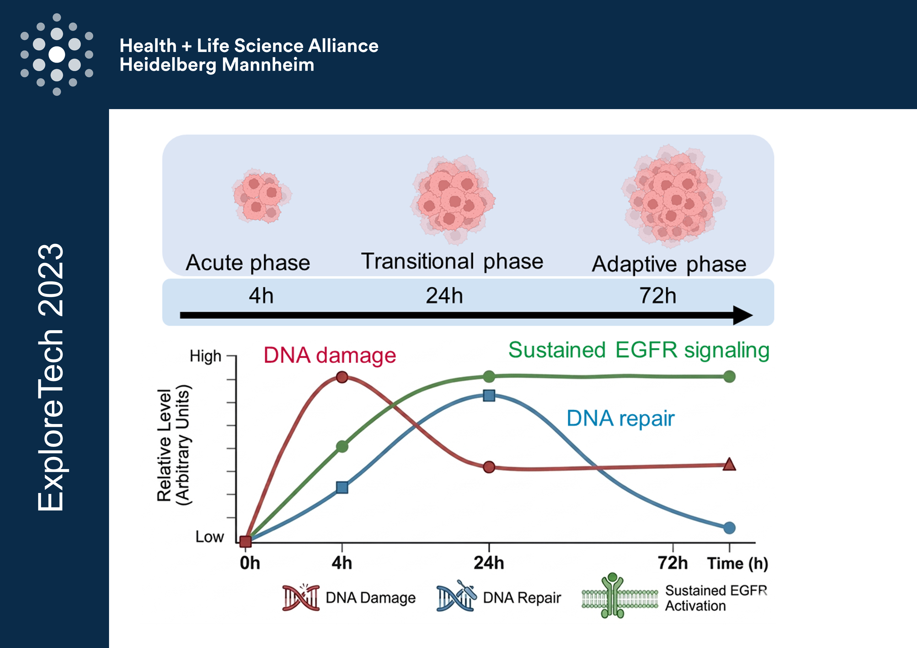 11 proteomics in pancreatic cancer TEASER