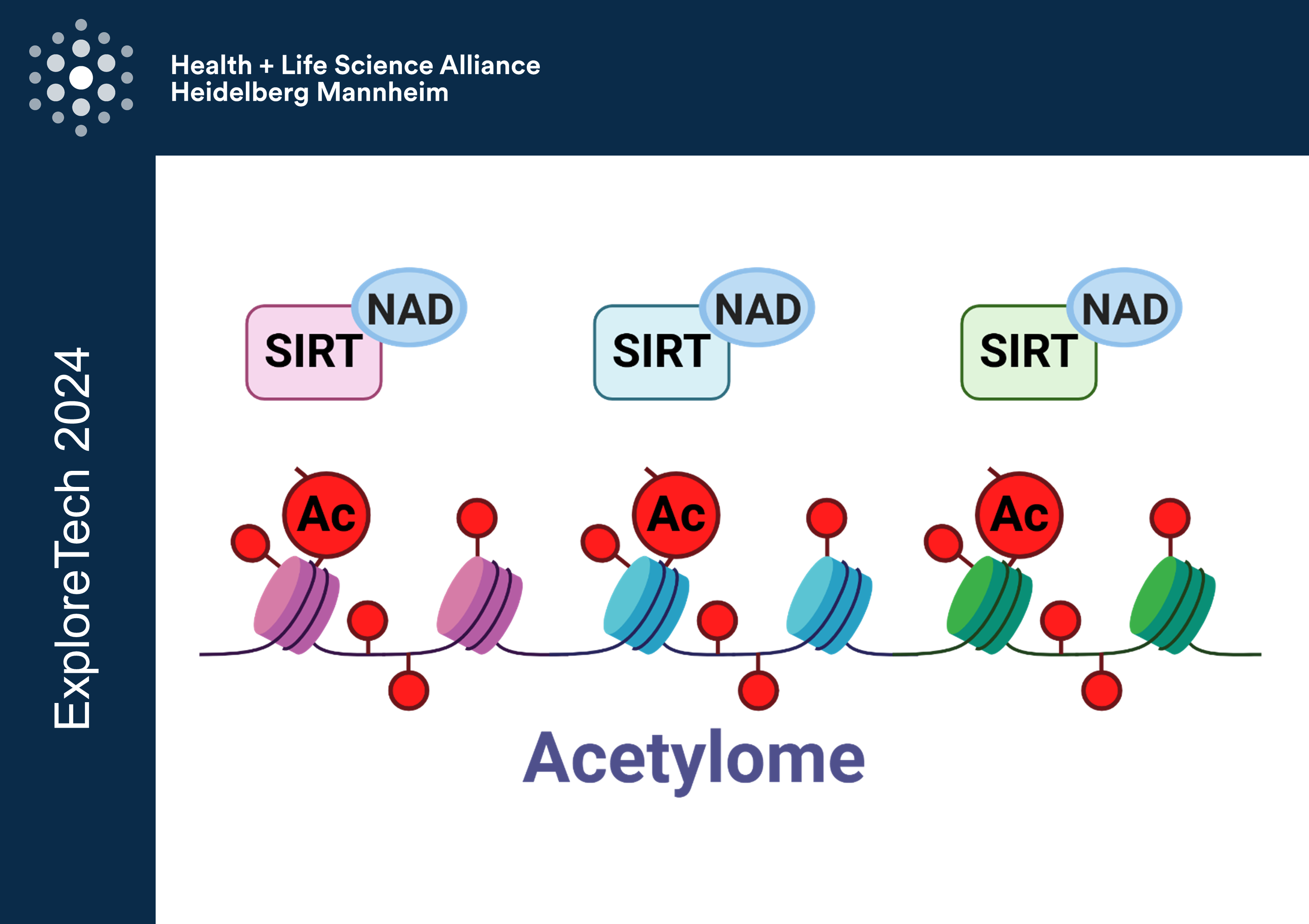17 NAD in epigenetic alterations TEASER