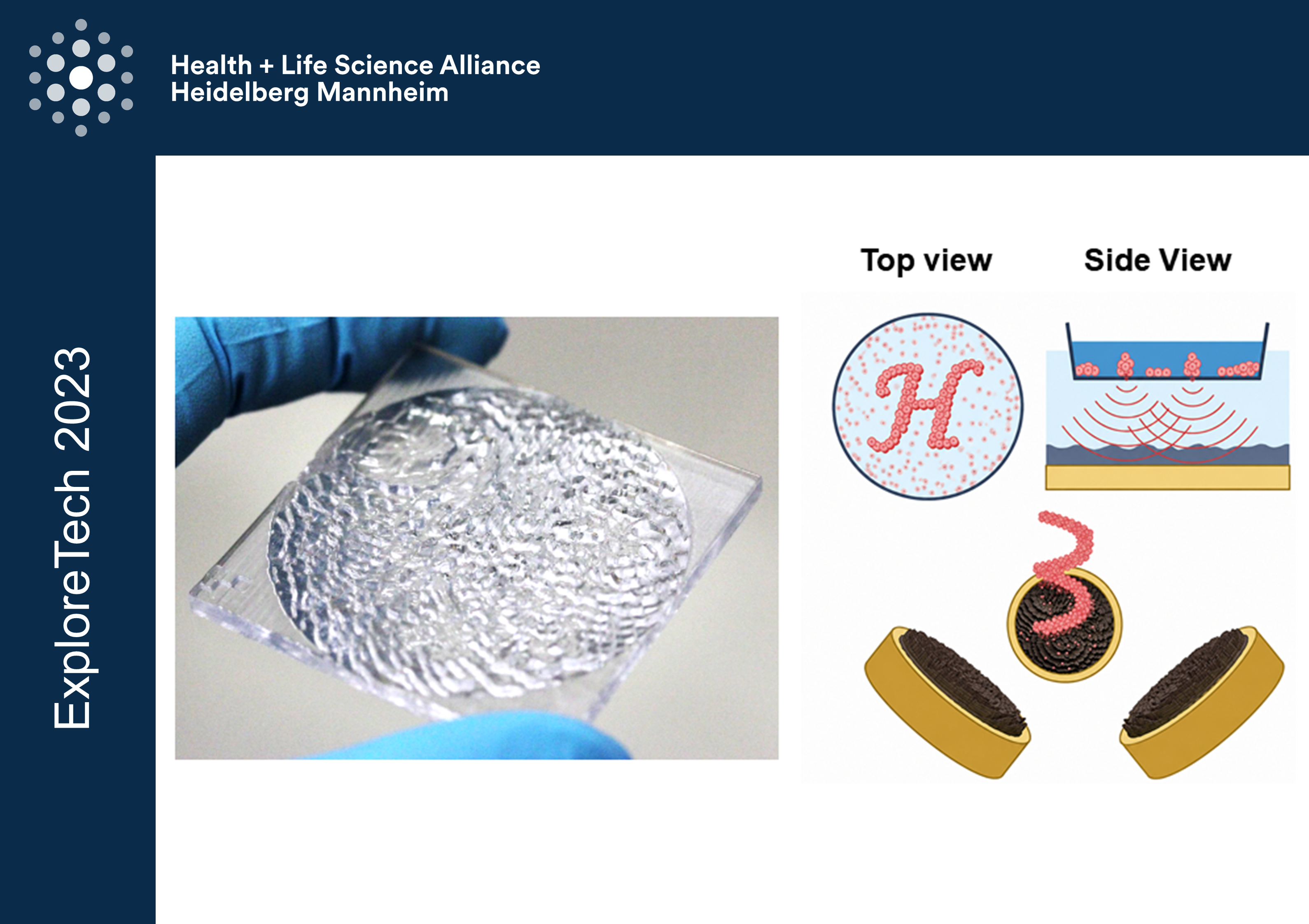 19 bioassembly of 3 D tissues TEASER