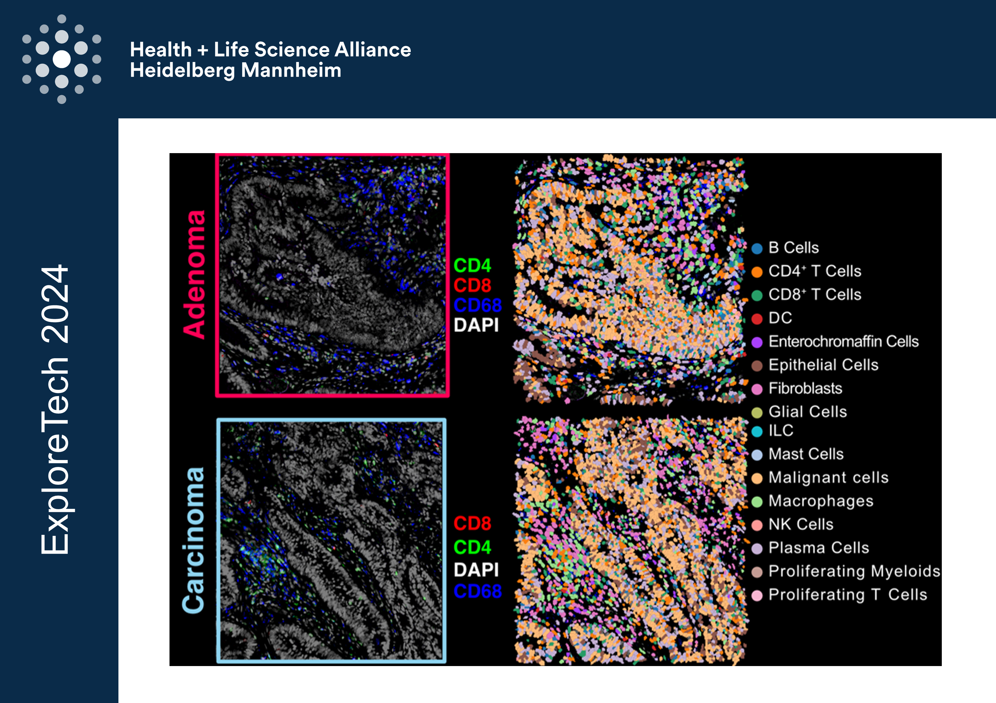 5 multiplexed RNA and protein detection TEASER