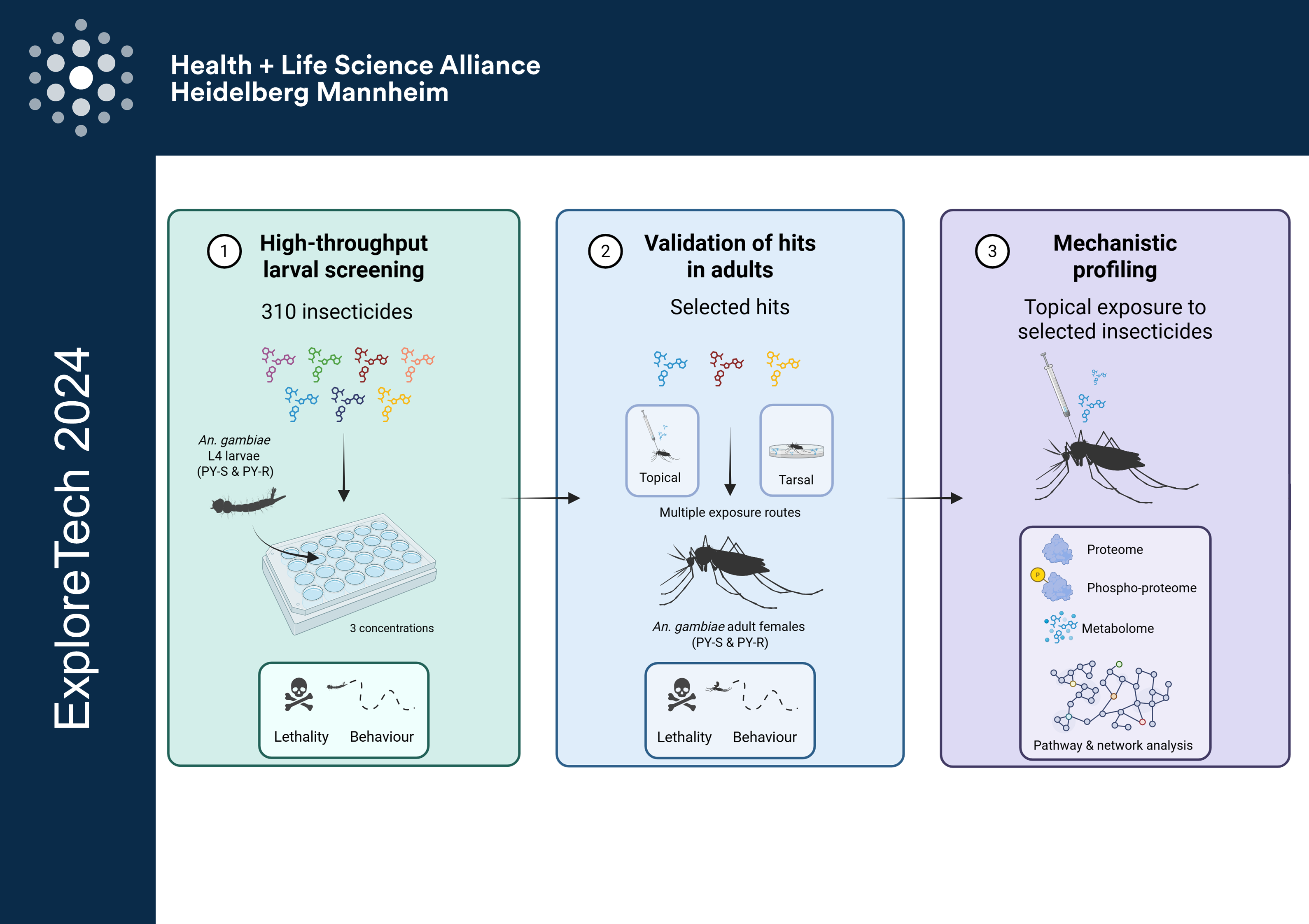 7 pharmacokinetic profiling of insecticides TEASER