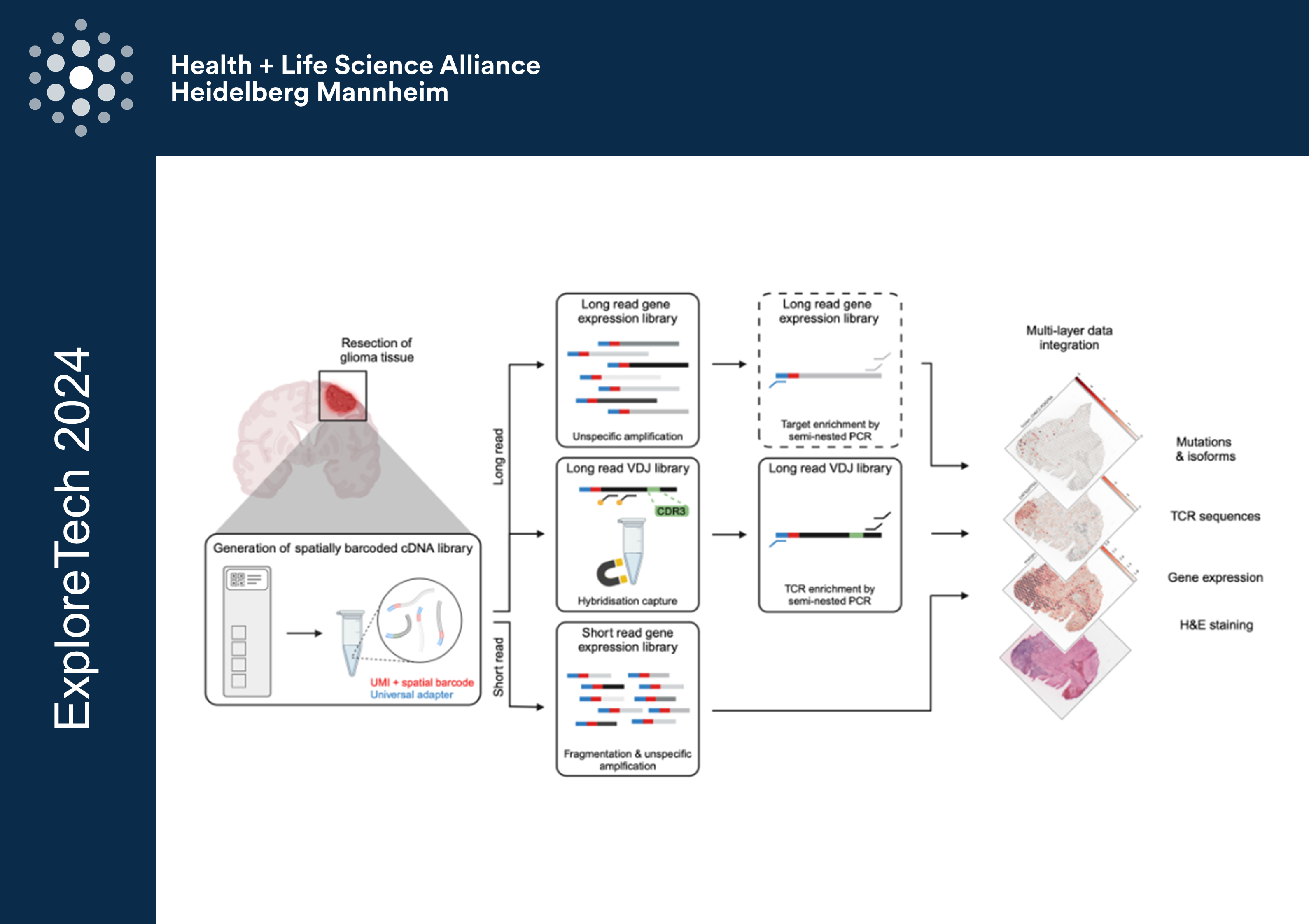 T cell phenotypic and receptor mapping across space