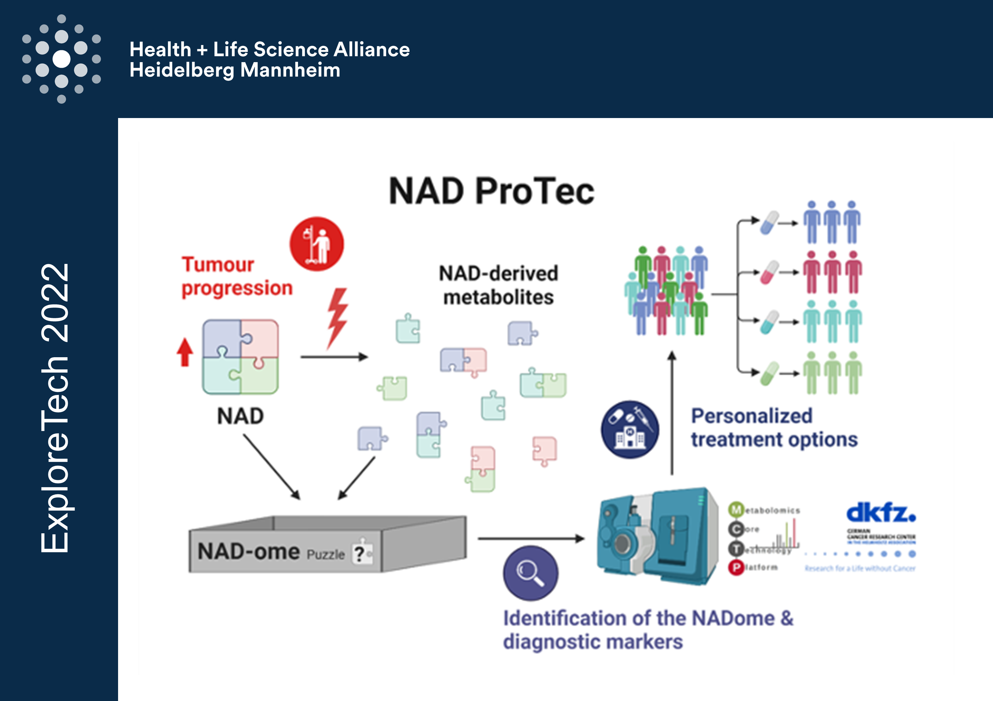 The NAD ome as potential vulnerability of cancer cells