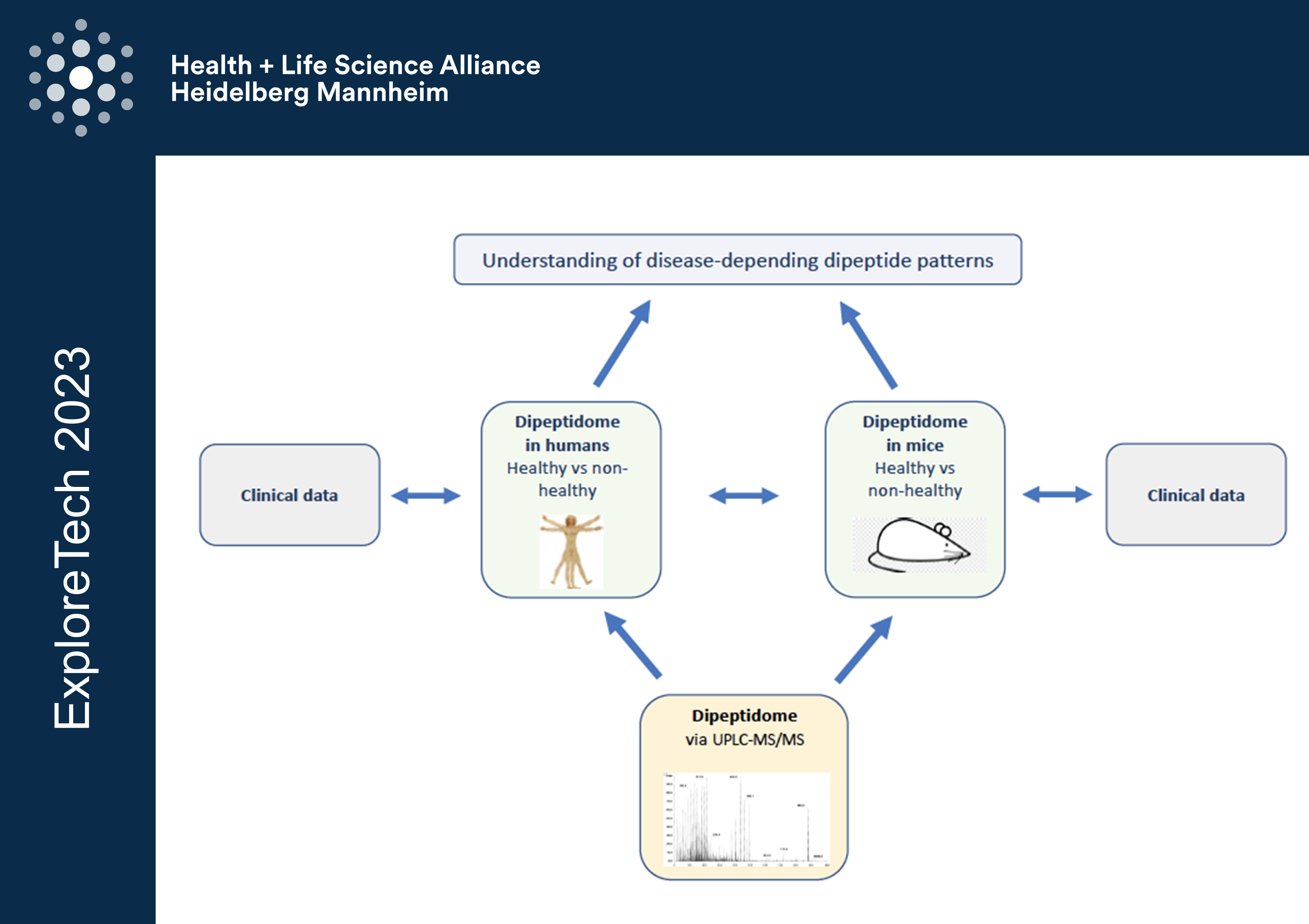 The dipeptide ome in health and disease