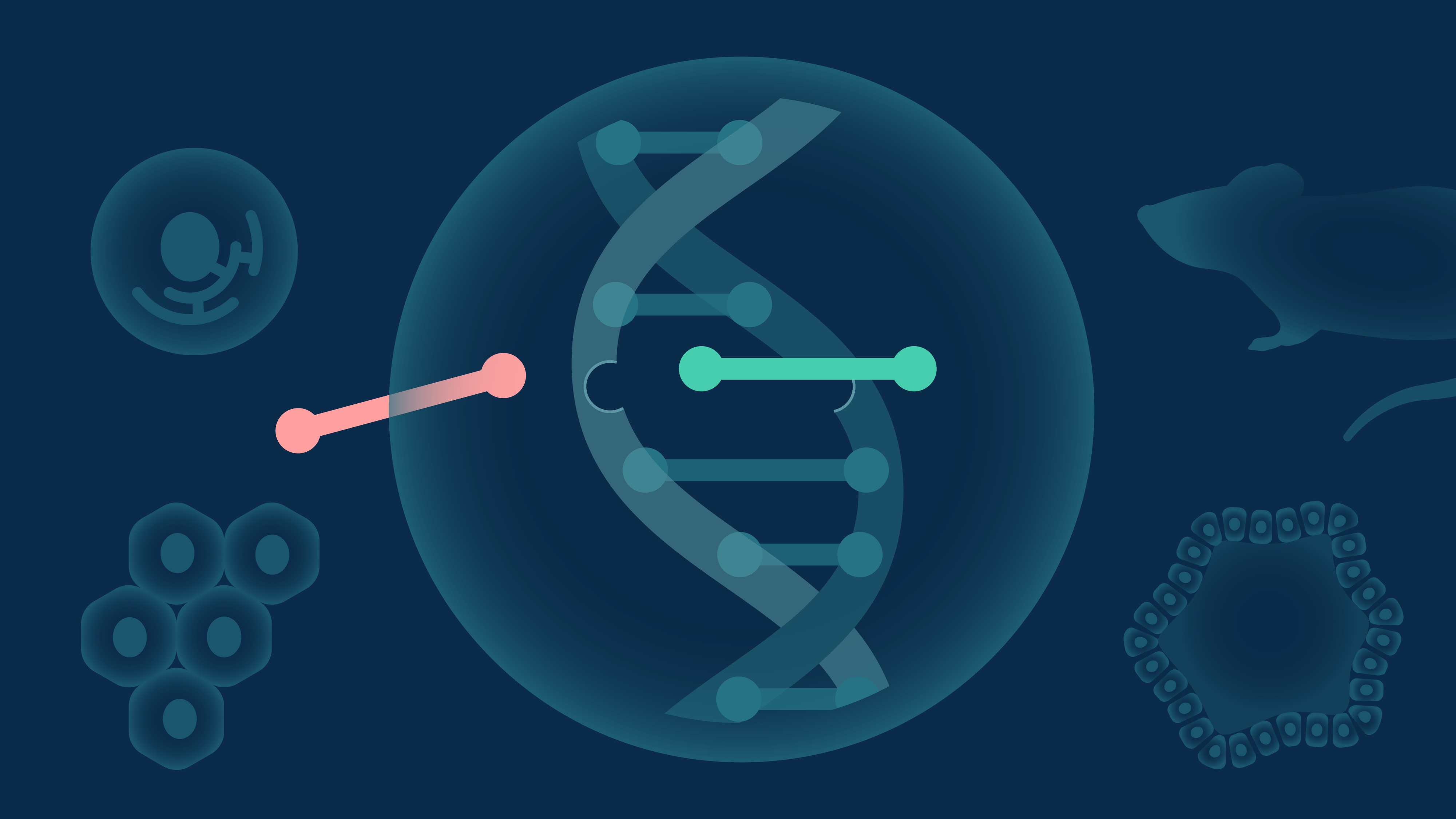 26 0421 keyvisual genome editing graphic